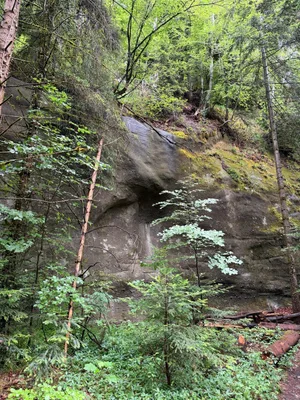 Schwarzwasserbrücke, Sandstone canyon_7.jpg