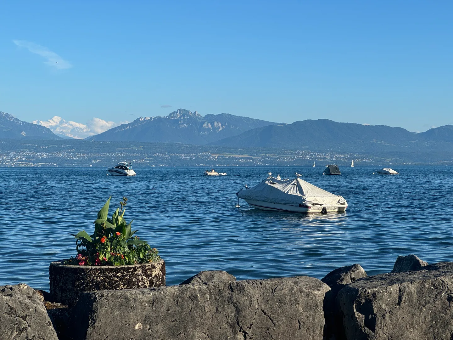 Mont Blanc, Uferpromenade von Morges