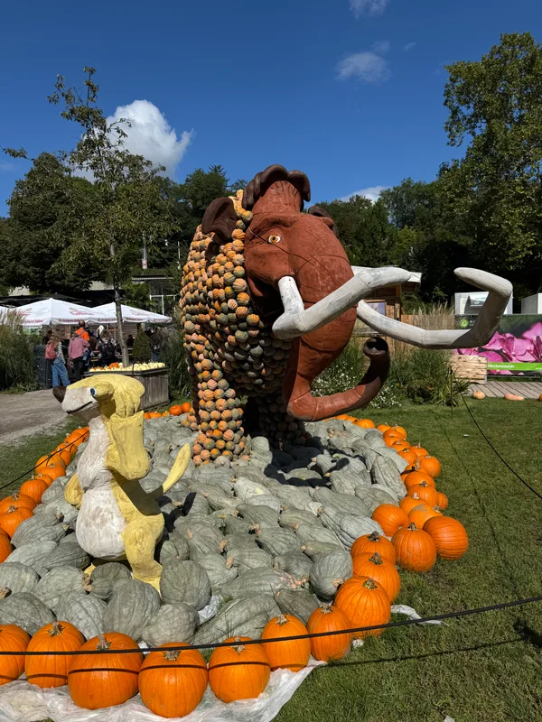 Pumpkin sculptures at the Kürbisausstellung - 2.HEIC
