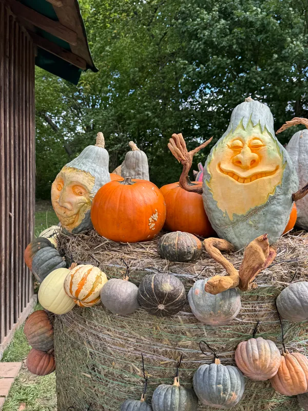 Pumpkin Carving Sculpture Exhibition - 4.HEIC