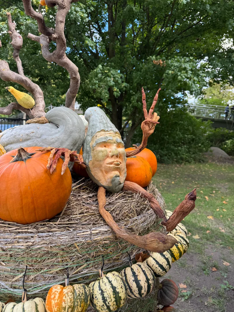 Visiting the Pumpkin Exhibition in Ludwigsburg