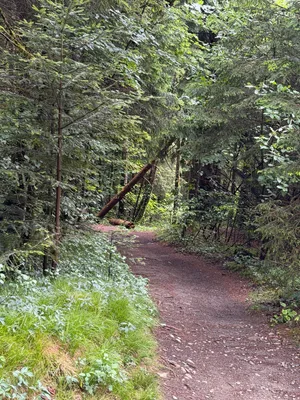 Schwarzwasserbrücke, Hiking landscapes_3.jpg