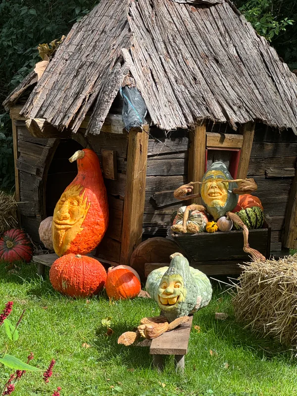 Pumpkin Carving Sculpture Exhibition - 1.HEIC