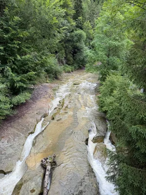 Schwarzwasserbrücke, Schwarzwasser river_1.jpg