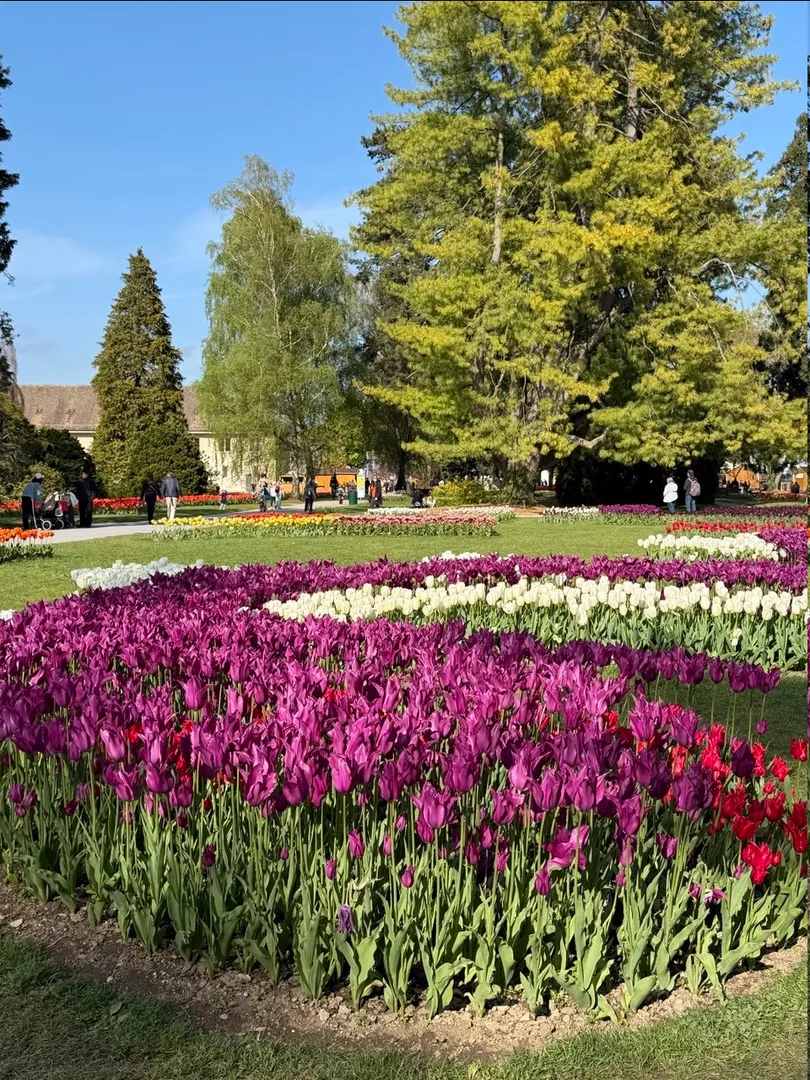 Morges Tulip Festival, Parc de l'Indépendance