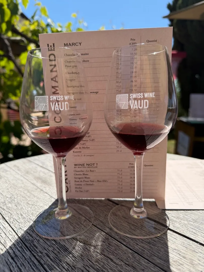 Caves Ouvertes Vaudoises, Glasses Swiss wine VAUD.jpg