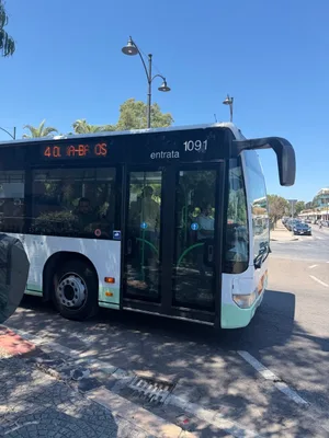 Bus, Olbia, Sardinia.jpg
