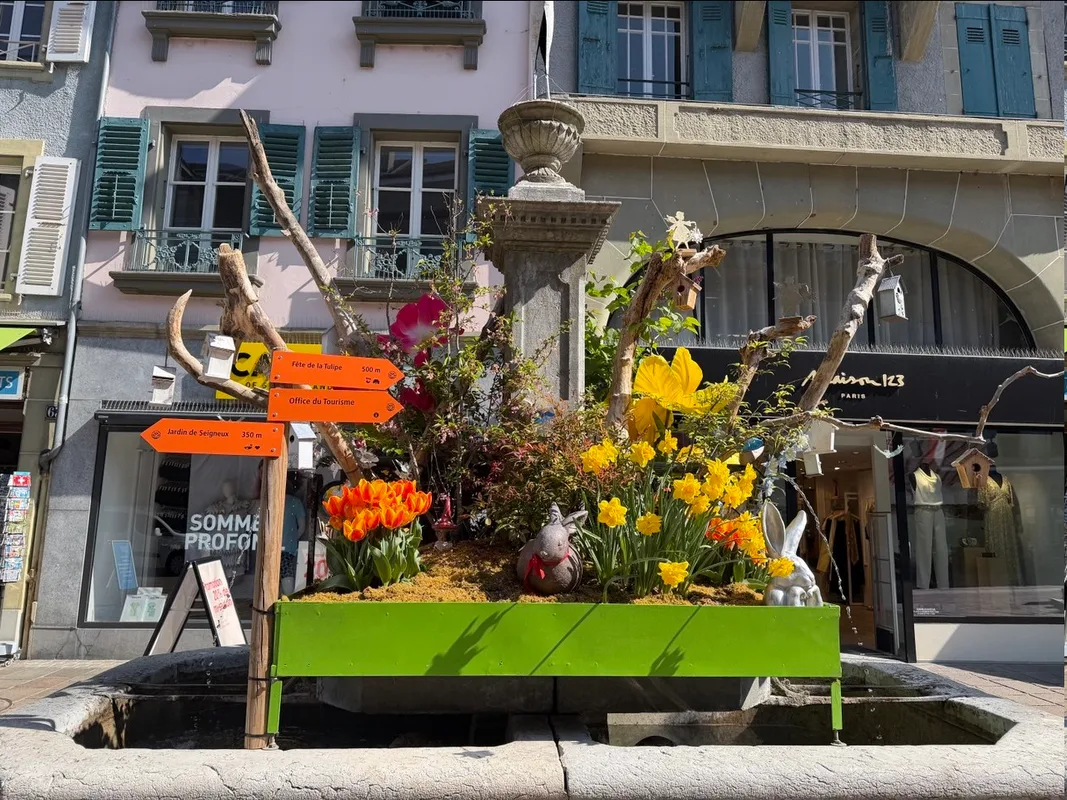 Une promenade dans la vieille ville de Morges