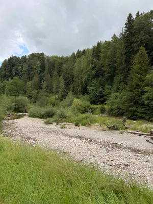 Schwarzwasserbrücke, Hiking landscapes_1.jpg