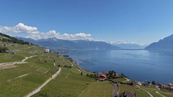 Caves Ouvertes Vaudoises — The Swiss Wine Weekend That Lets You Into Local Life