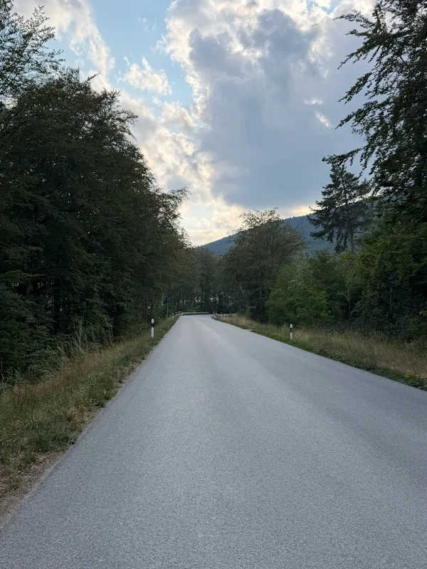 Road to the Grande Citadelle de Monthoux_2.HEIC