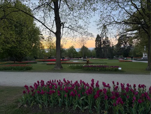 Sunset, Morges Tulip Festival, Parc de l'Indépendance