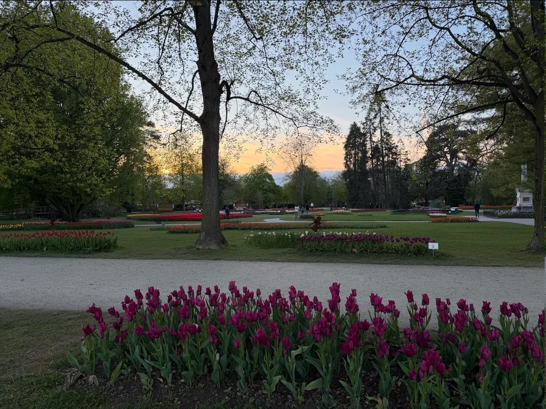 Coucher de soleil, Fête de la Tulipe de Morges, Parc de l’Indépendance