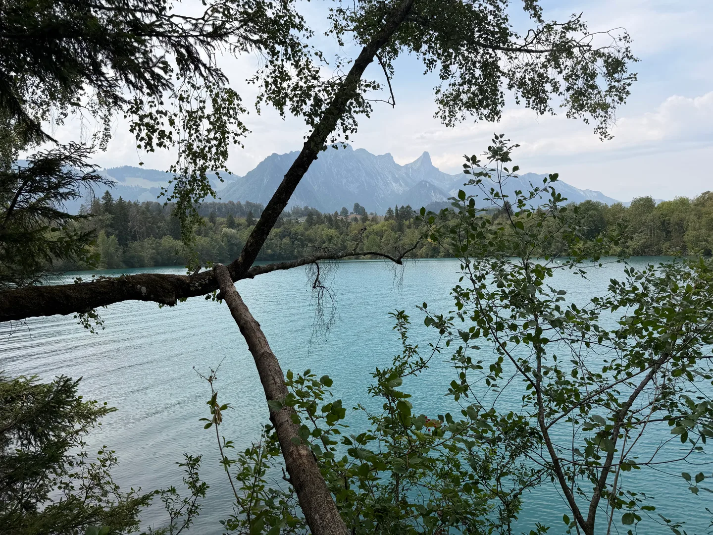 Lake Thun near the Kanderdelta