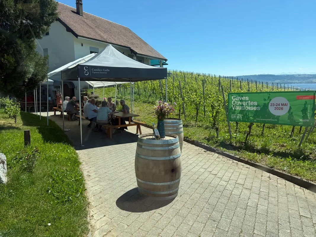 Caves Ouvertes Vaudoises, Family winery.jpg