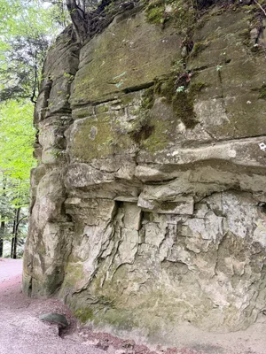 Schwarzwasserbrücke, Sandstone canyon_3.jpg