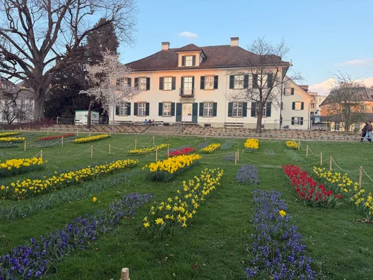 Beckenhof Park — a quiet retreat just 10 minutes from Zurich’s main station and bustling city center