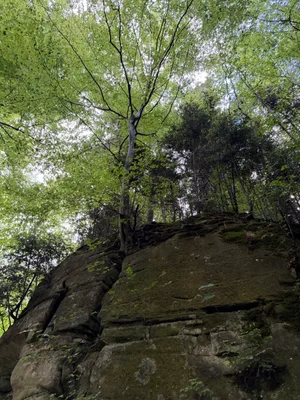 Schwarzwasserbrücke, Sandstone canyon_4.jpg