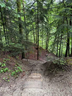 Schwarzwasserbrücke, Sandstone canyon_2.jpg