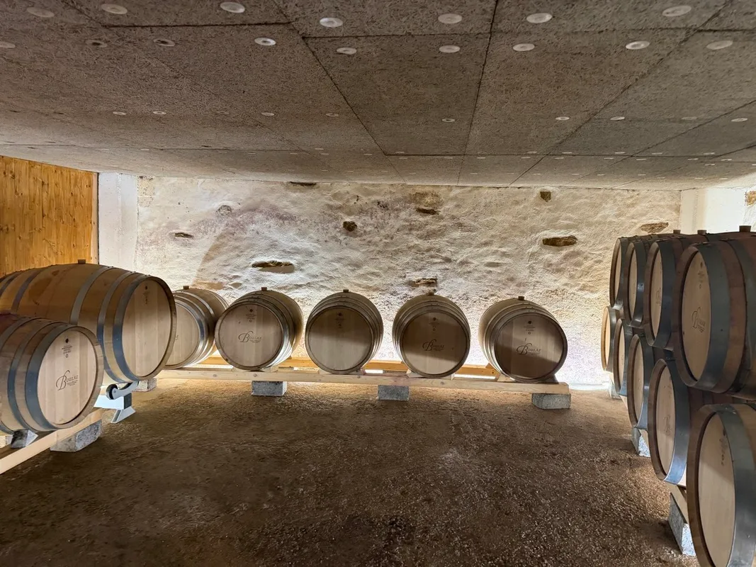 Caves Ouvertes Vaudoises, Wine cellar.jpg