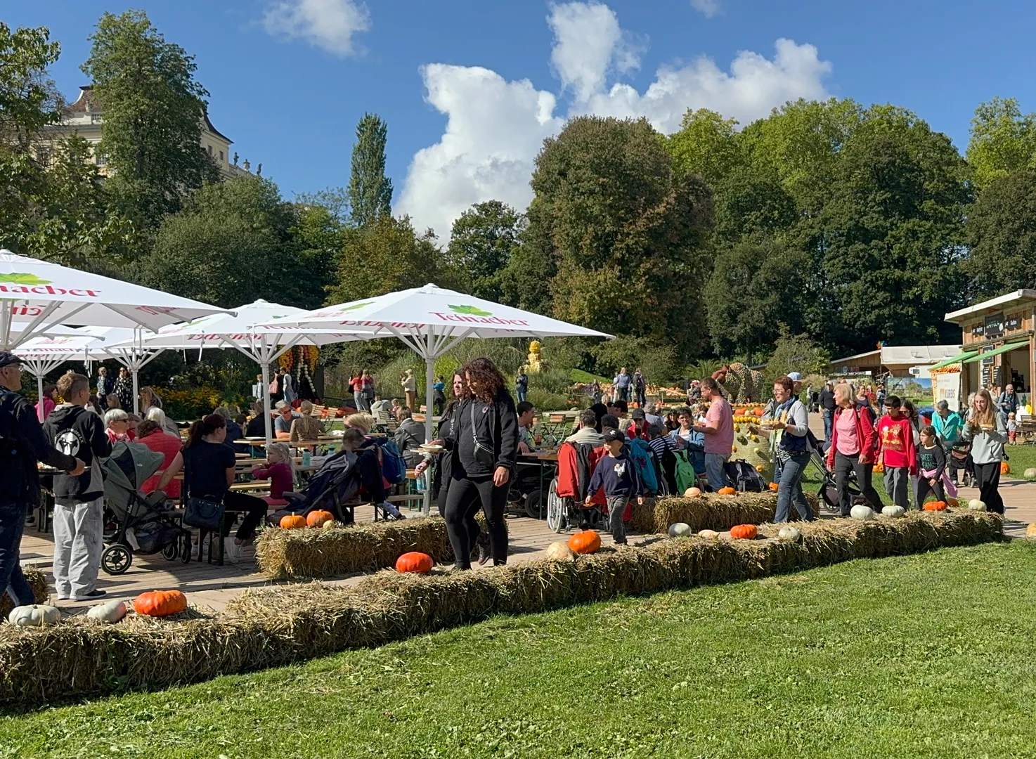 Food court at the Kürbisausstellung