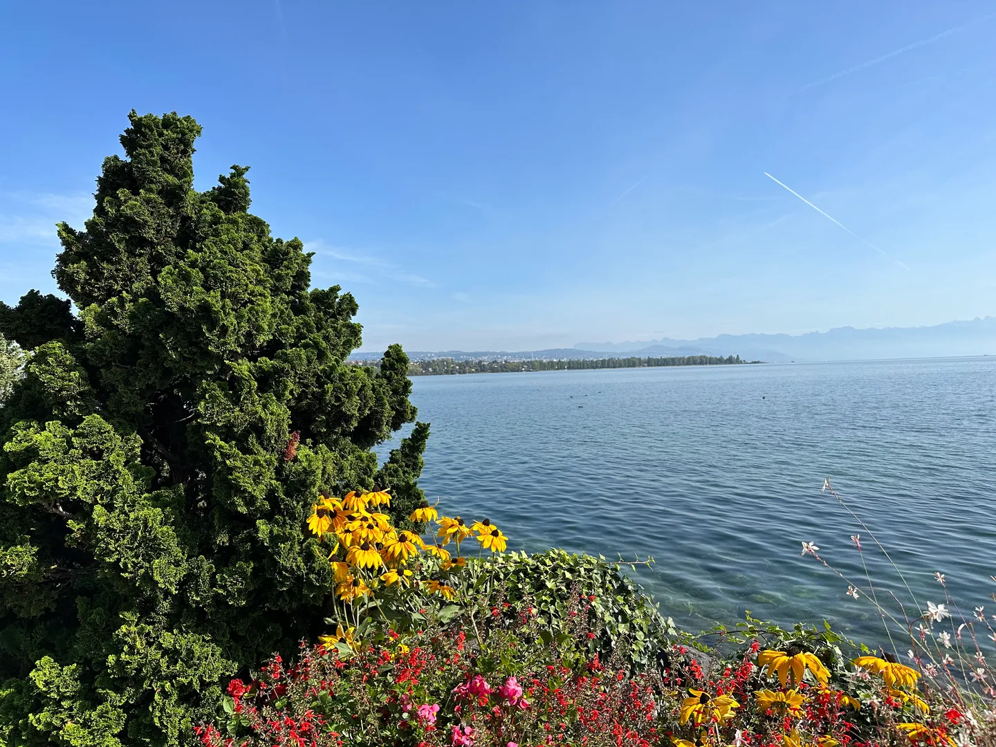 Quai Igor-Stravinski, Morges