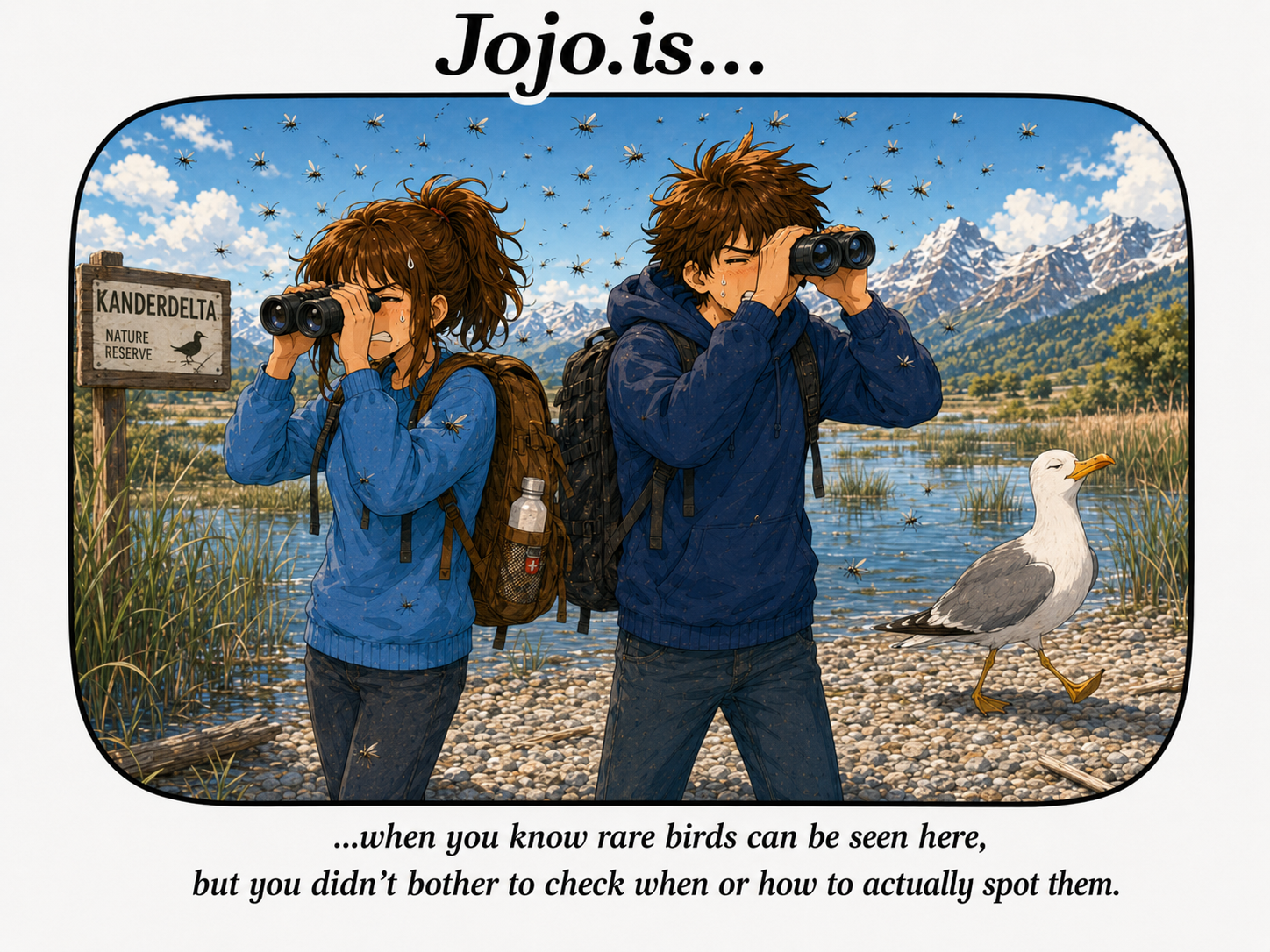 Jojo.is... when you know rare bird can be seen here, but you didn't bother to check when or how to actually spot them.