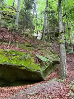 Schwarzwasserbrücke, Sandstone canyon_6.jpg