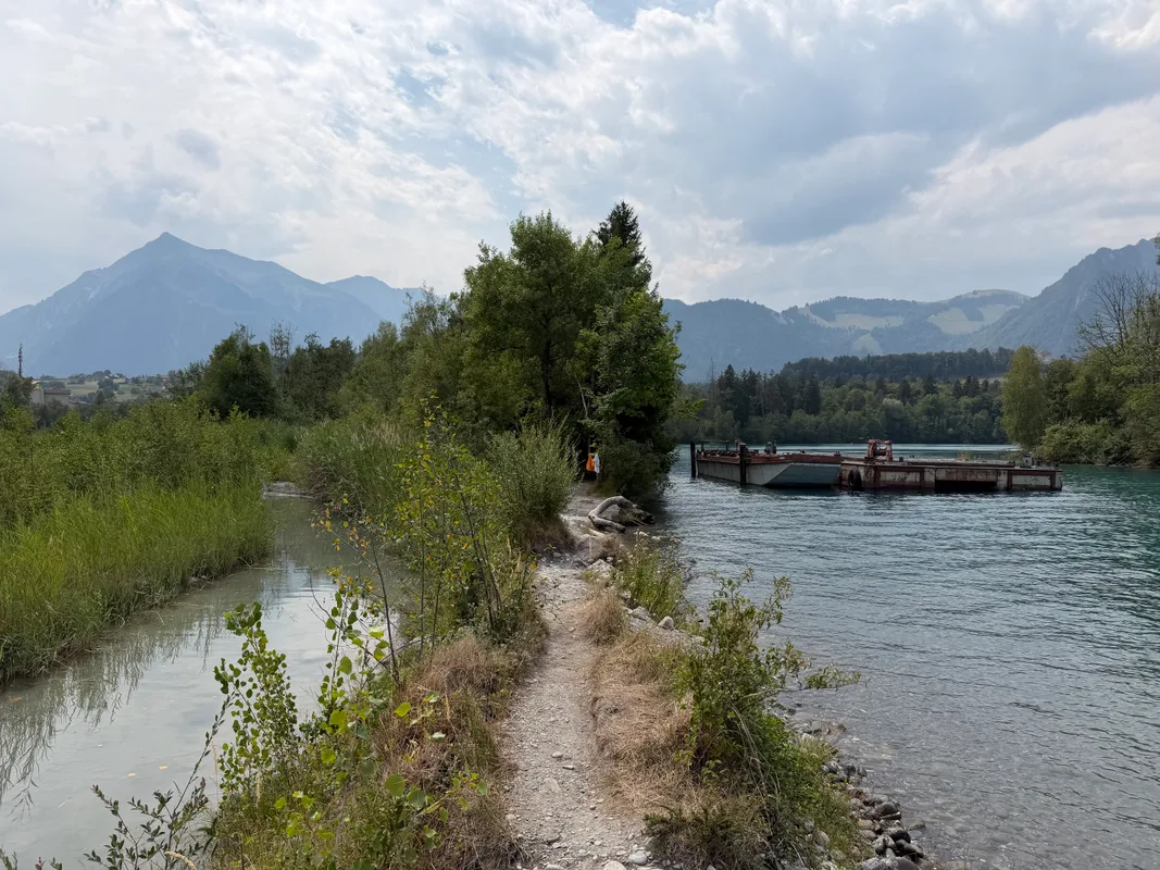 Kanderdelta: Thun's wild river mouth that most tourists never find
