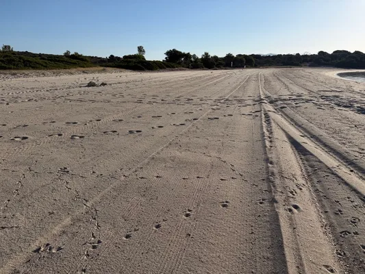 Freshly sifted beach sand in Sardinia, cleaned by a special beach-cleaning tractor