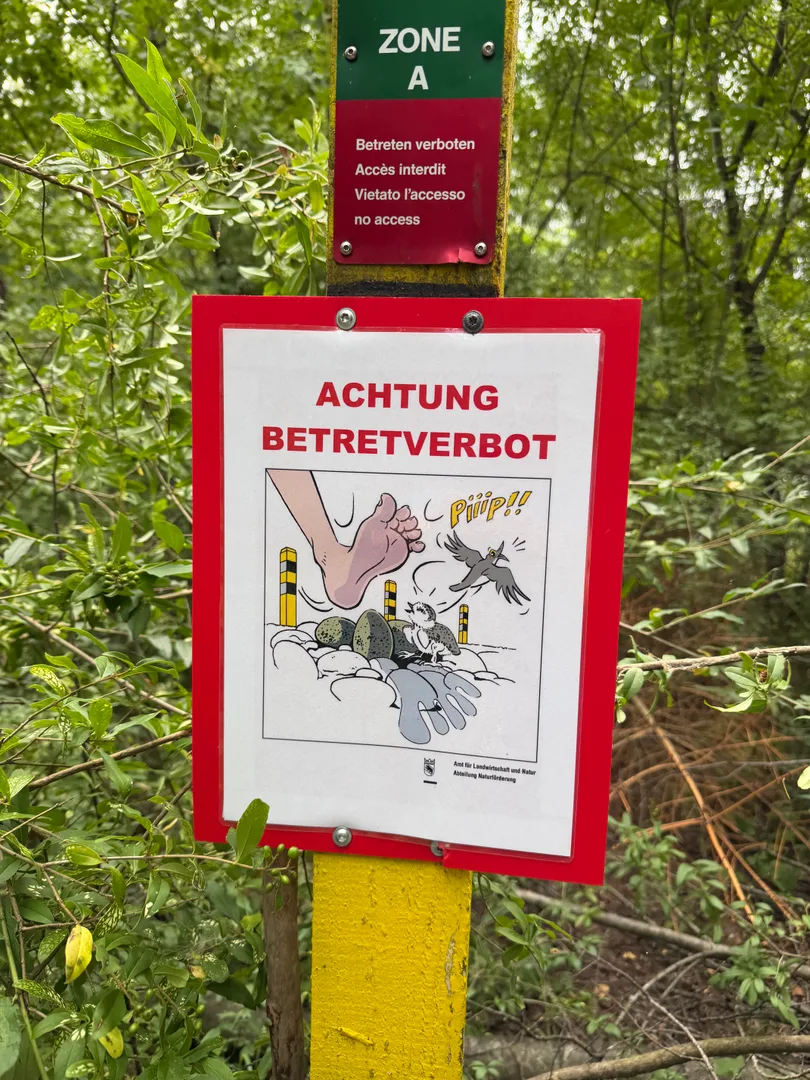 Protected nesting area – please keep out