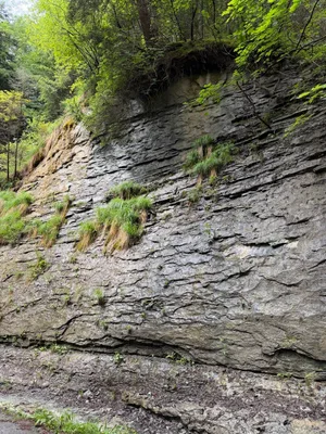 Schwarzwasserbrücke, Sandstone canyon_5.jpg