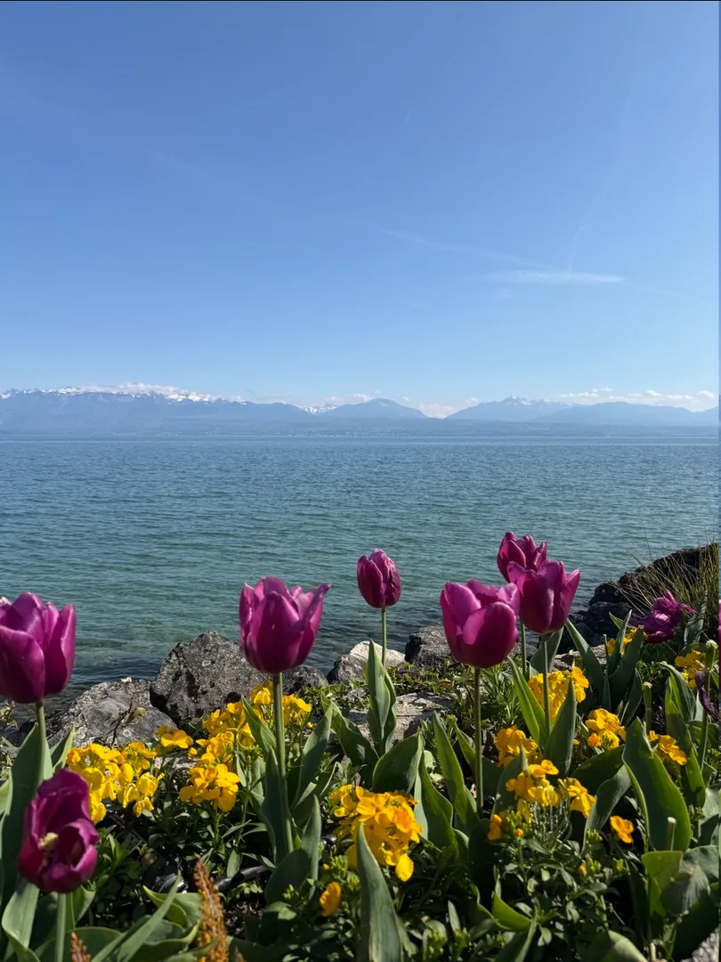 Tulips, Lake Geneva and the Alps