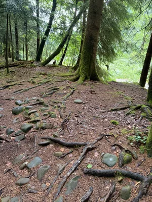 Schwarzwasserbrücke, Hiking landscapes_6.jpg