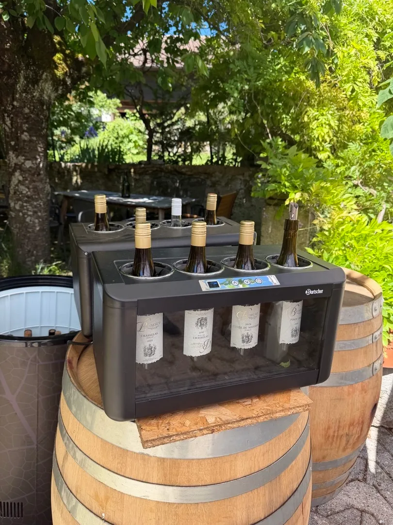 Caves Ouvertes Vaudoises, Types of wine.jpg