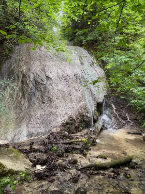 Schwarzwasserbrücke, Sandstone canyon_8.jpg