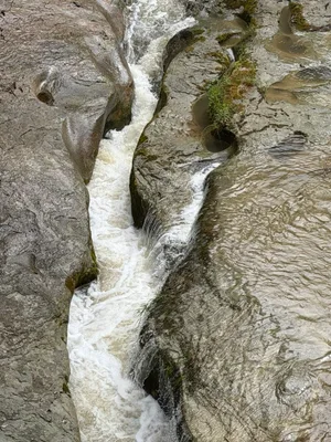 Schwarzwasserbrücke, Schwarzwasser river_2.jpg