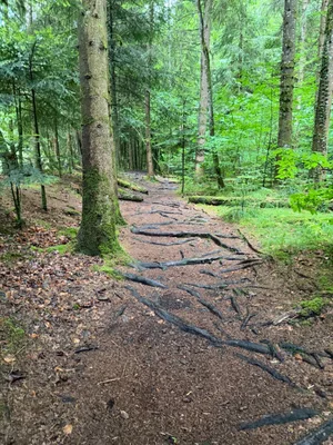 Schwarzwasserbrücke, Hiking landscapes_7.jpg
